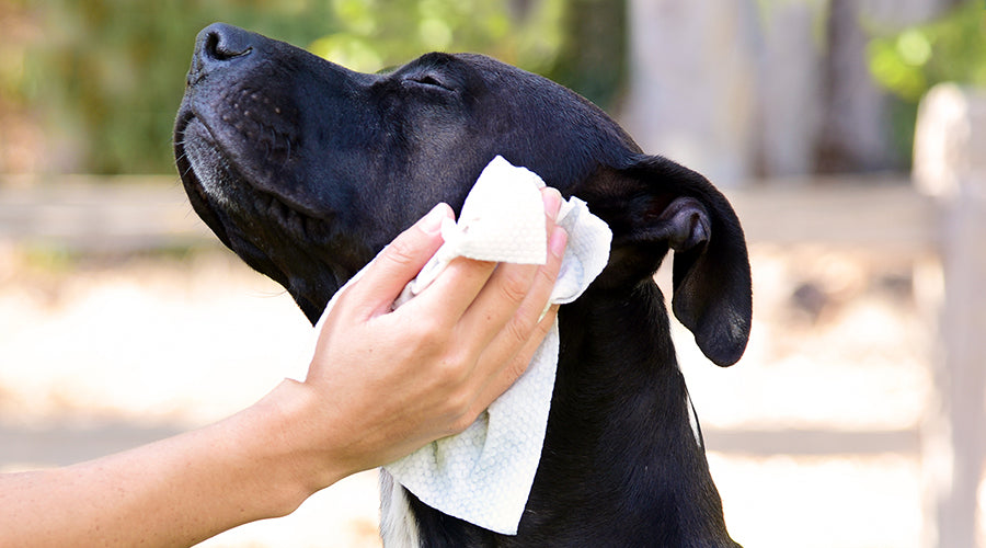 Know your ingredients: the benefits of natural!