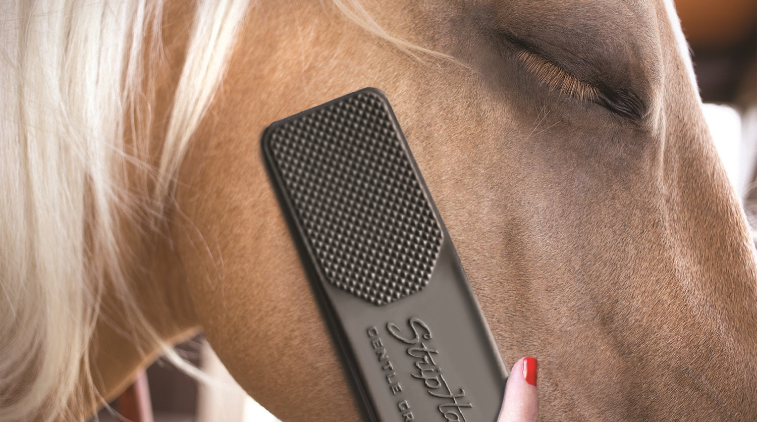 Is your horse enjoying grooming or just tolerating it?