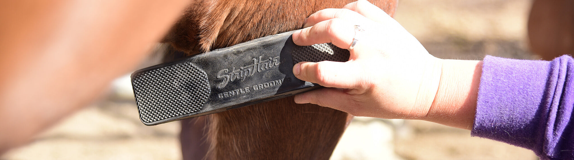 What Customers Have to Say About The StripHair Gentle Groomer for Horses