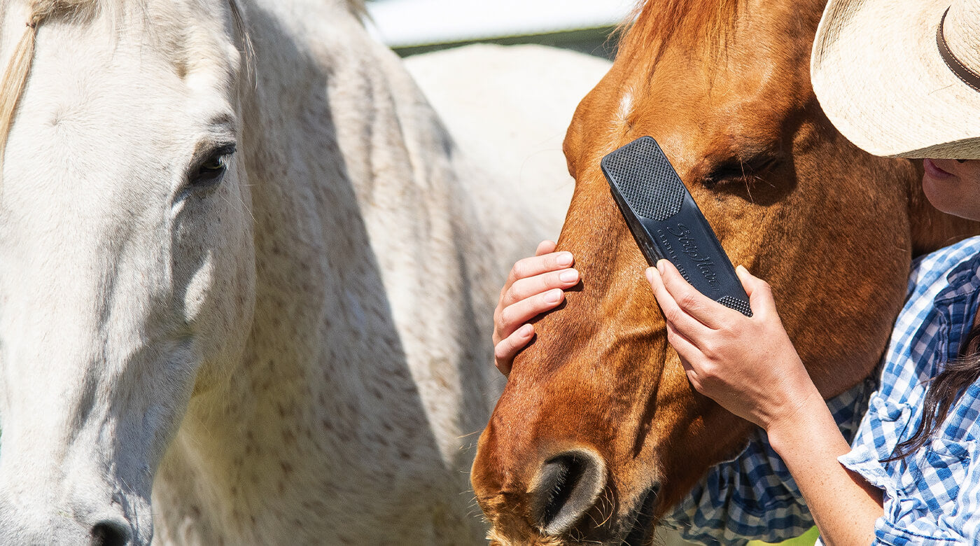 how to clip a horse