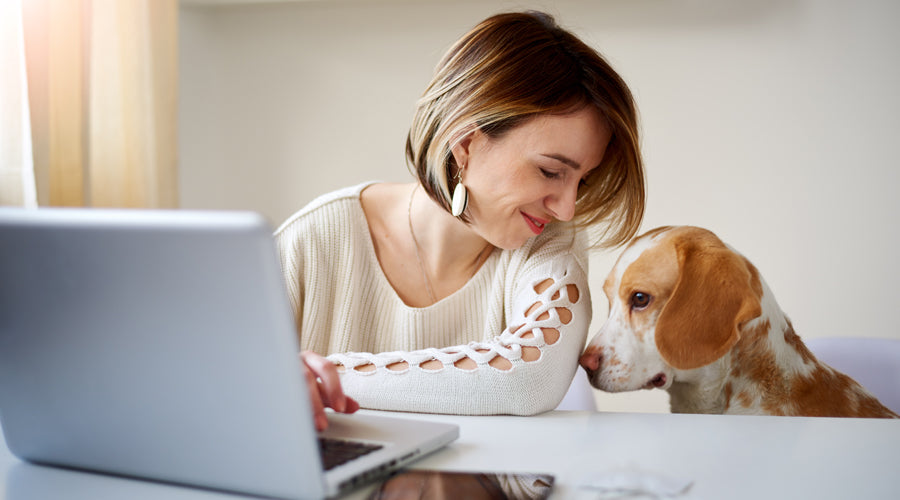 Shopping for your animal? Shop sustainably!