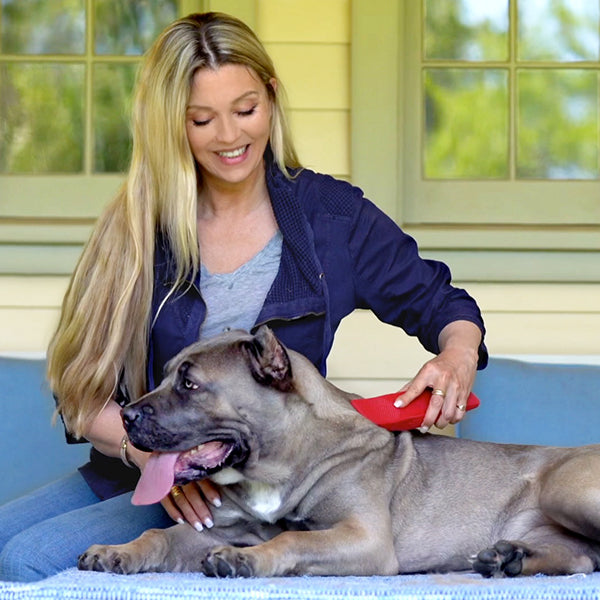 striphair dog shedding grooming massage tool for short coat breeds