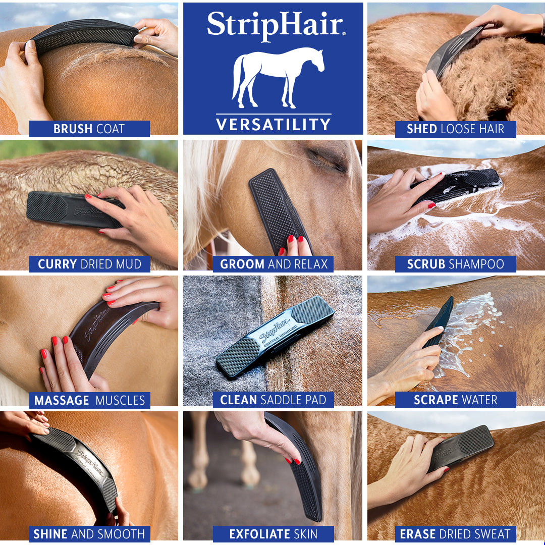 StripHair Horse 2pc Set