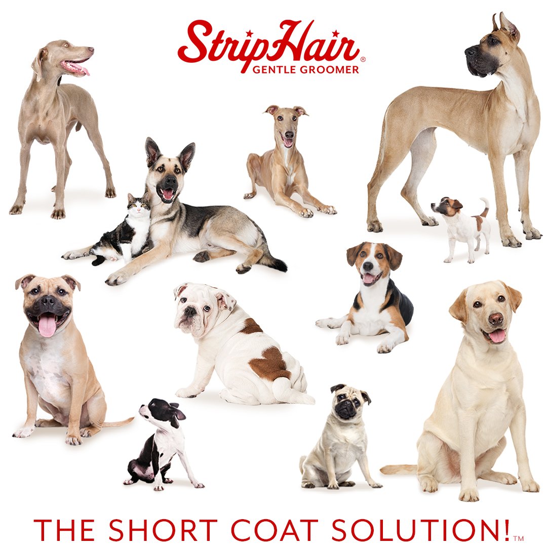 StripHair Gentle Groomer Sensitive for Pets