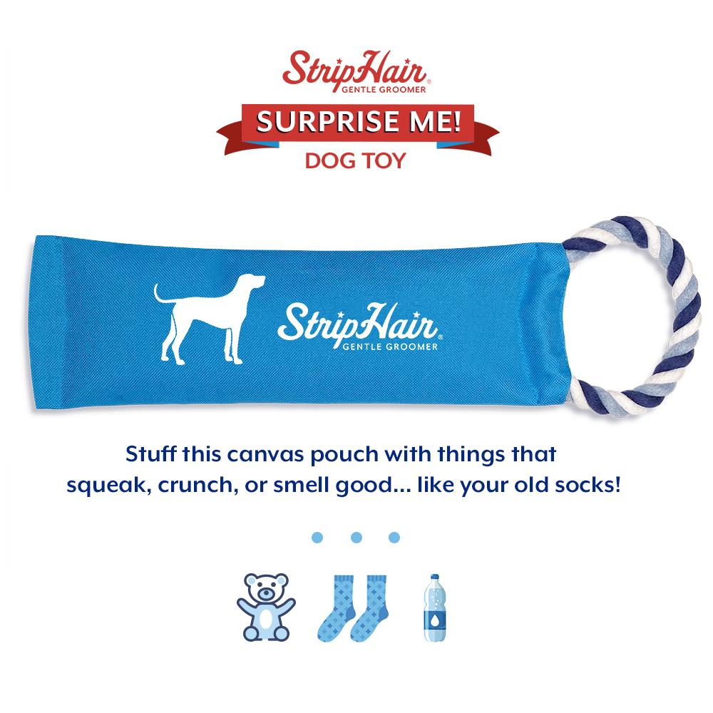 Surprise Me! Dog Toy