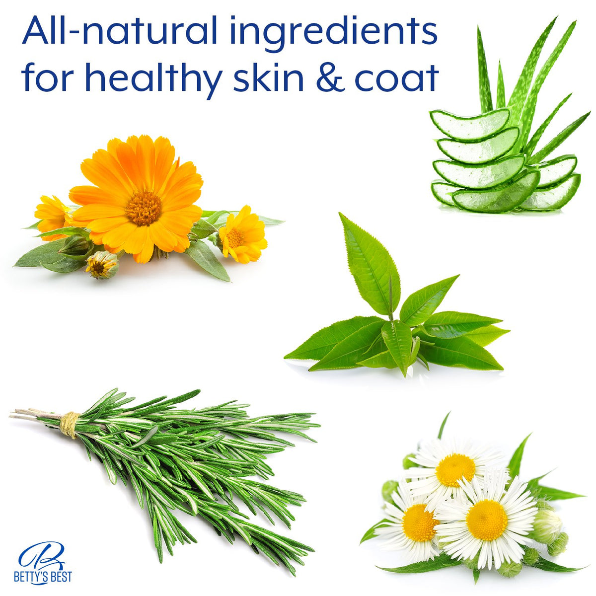 Healthy Ingredients for Healthy Skin, All Natural