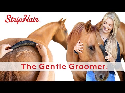 StripHair Gentle Groomer Original for Horses